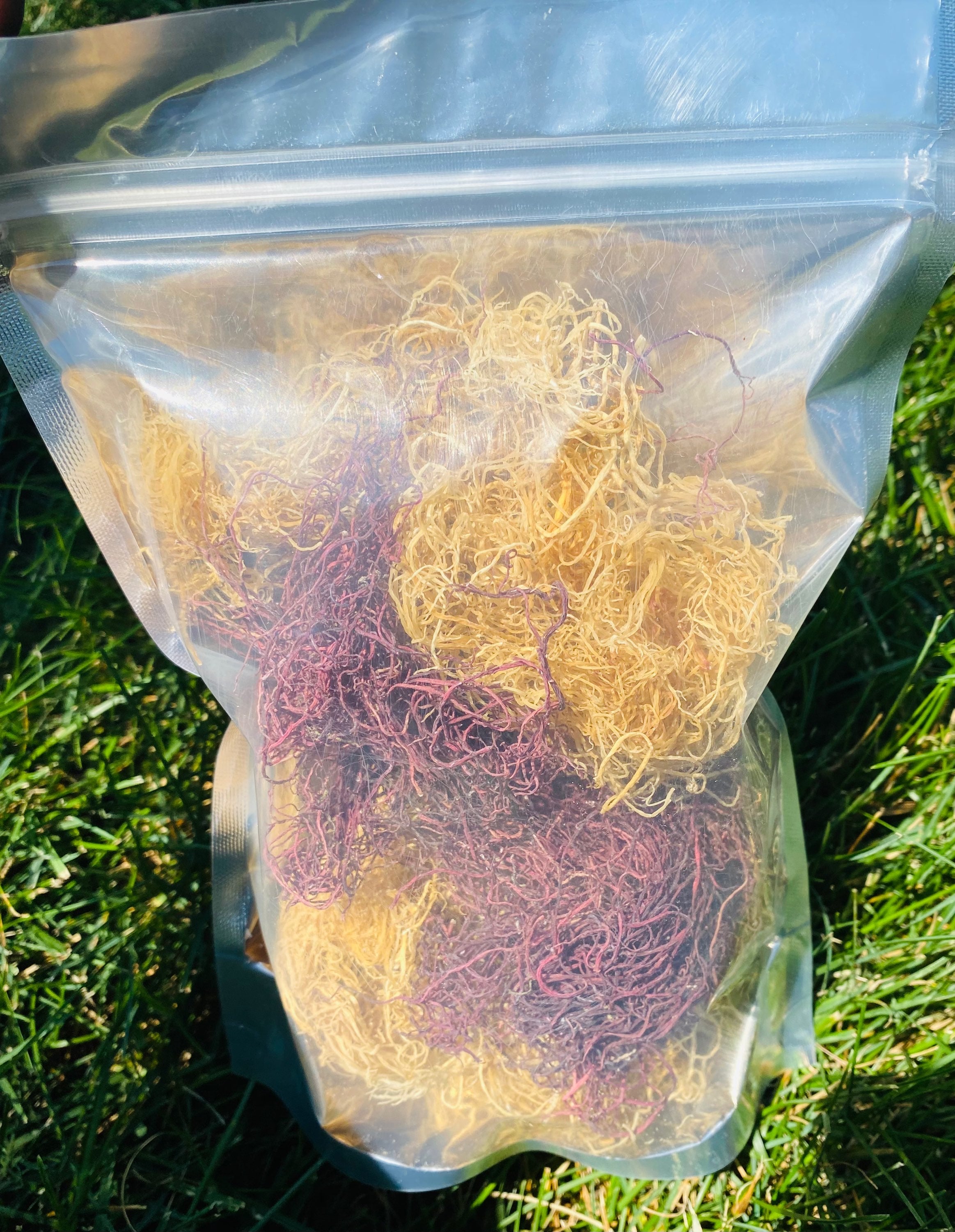 The Powerful Blend (Gold & Purple Spaghetti Sea Moss) image 1