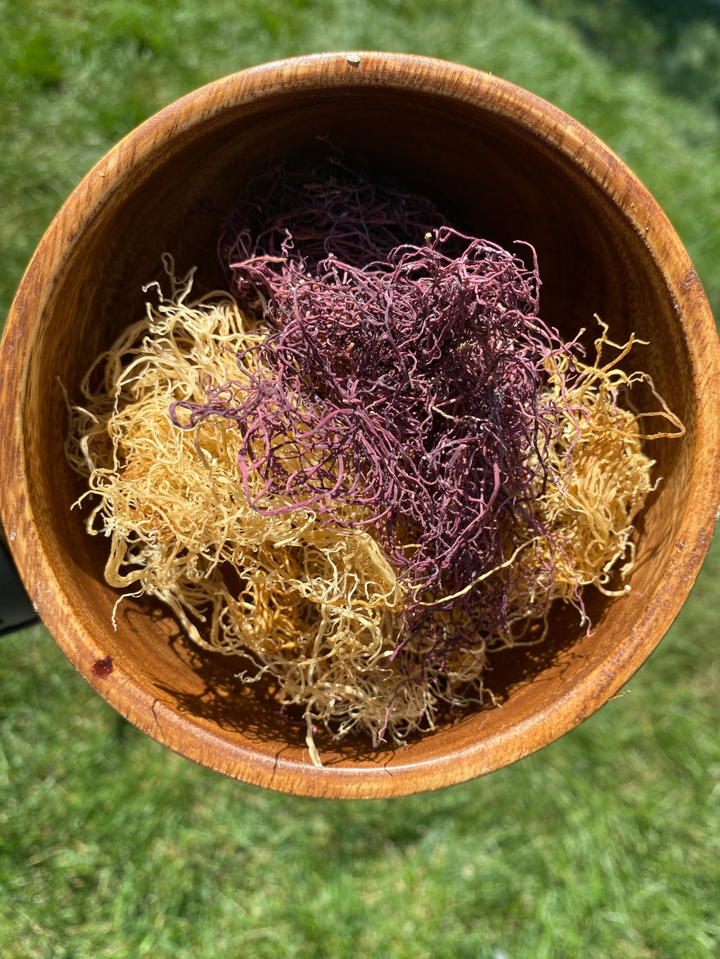 The Powerful Blend (Gold & Purple Spaghetti Sea Moss) image 2