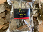 Soursop Leaves  image 0