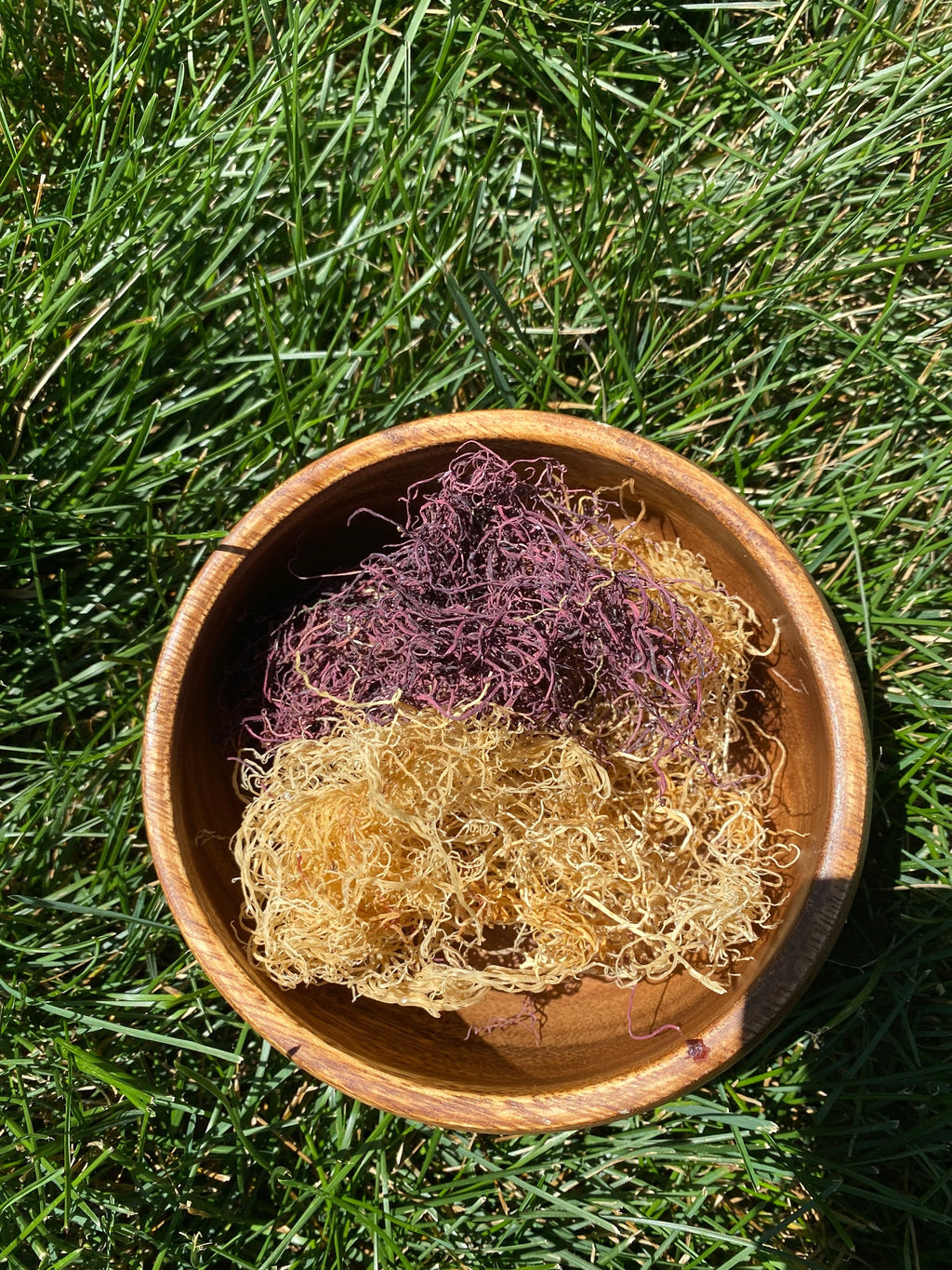 The Powerful Blend (Gold & Purple Spaghetti Sea Moss) image 3