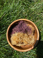 The Powerful Blend (Gold & Purple Spaghetti Sea Moss) image 3