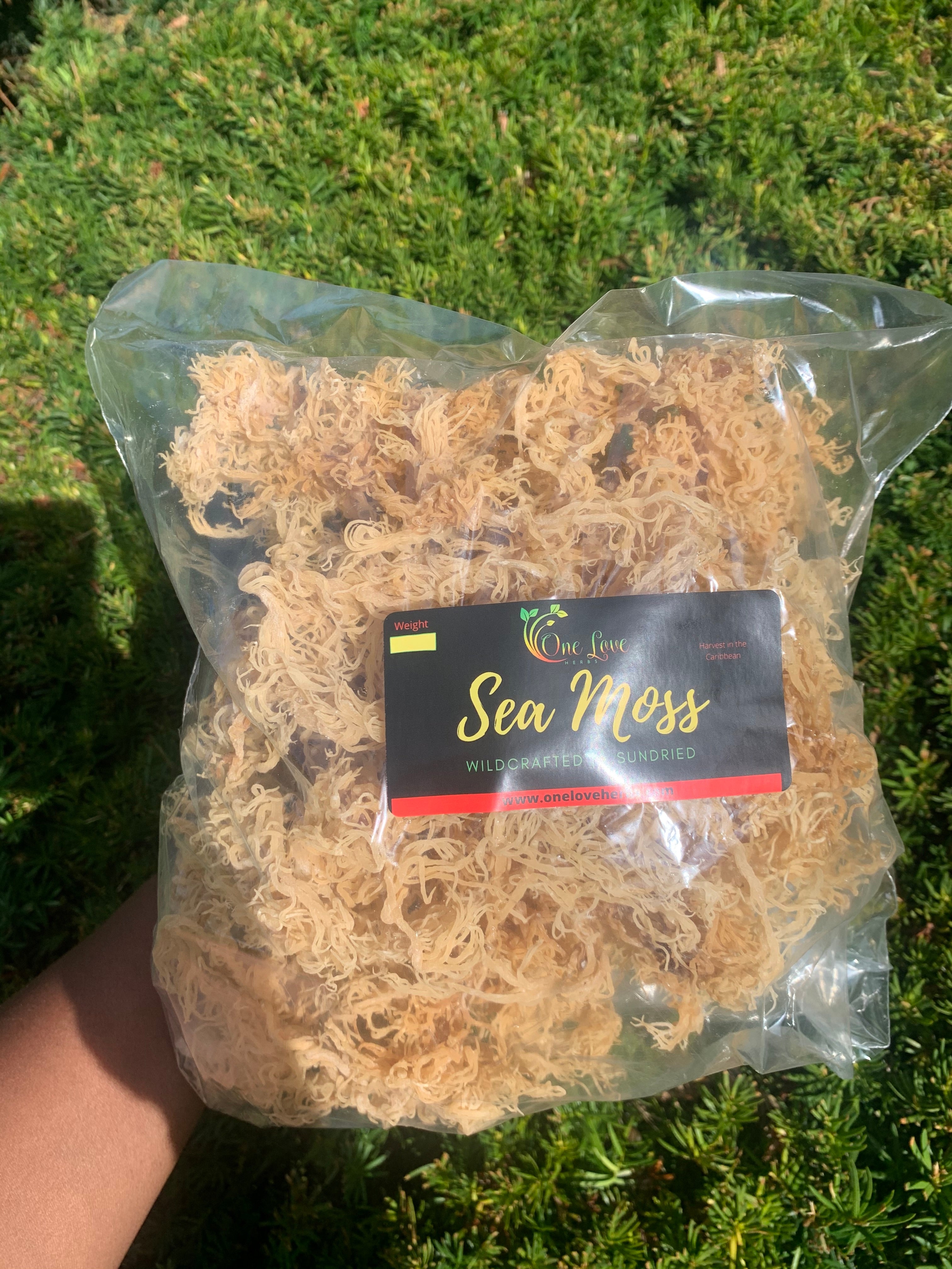 Sun-dried Sea Moss image 1