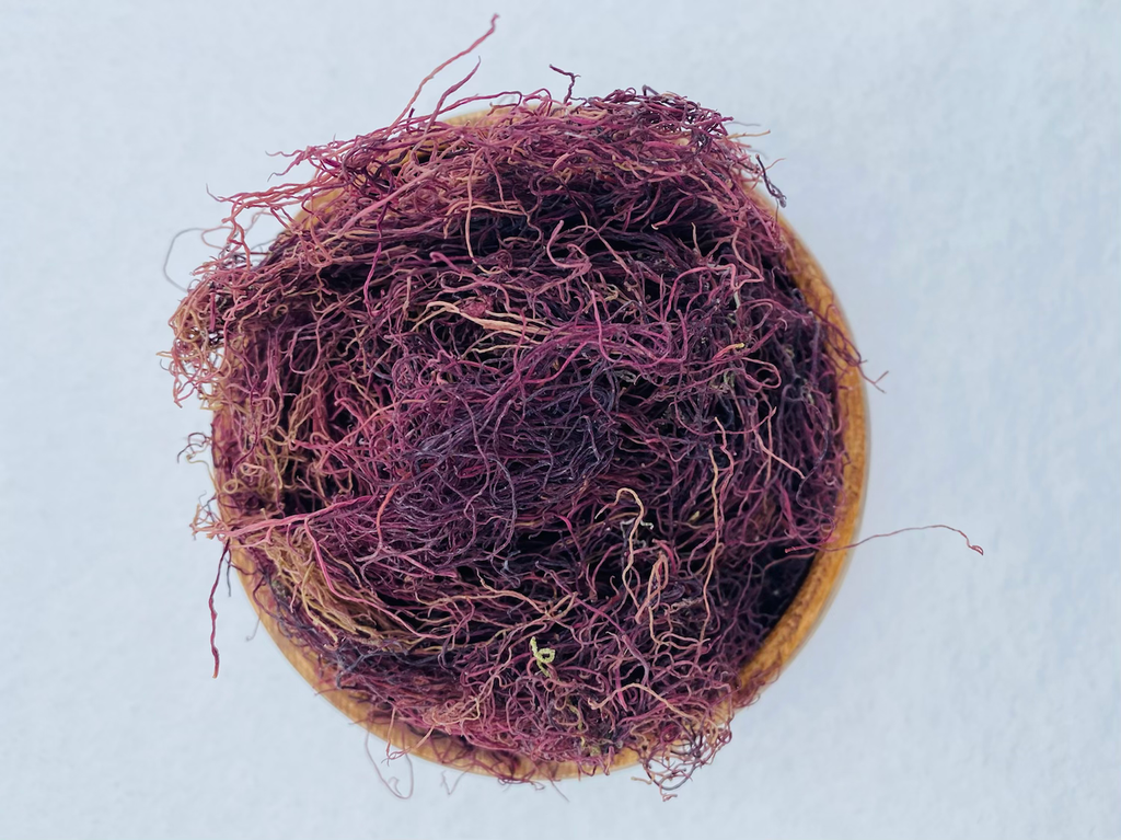 Raw/Wild-Crafted Jamaican Purple Sea Moss (Spaghetti) image 1