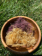 The Powerful Blend (Gold & Purple Spaghetti Sea Moss) image 0
